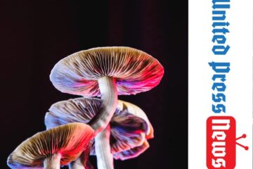 In Largest Trial Yet, More Proof Psilocybin Is Depression Solution