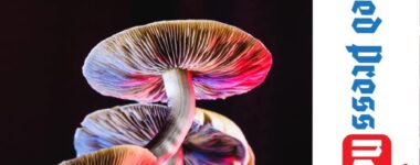 In Largest Trial Yet, More Proof Psilocybin Is Depression Solution